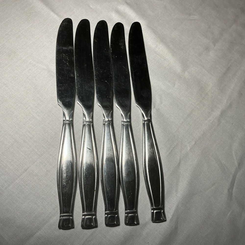 Set Of 5 Oneida Ambiance Stainless Flatware Dinner Knife